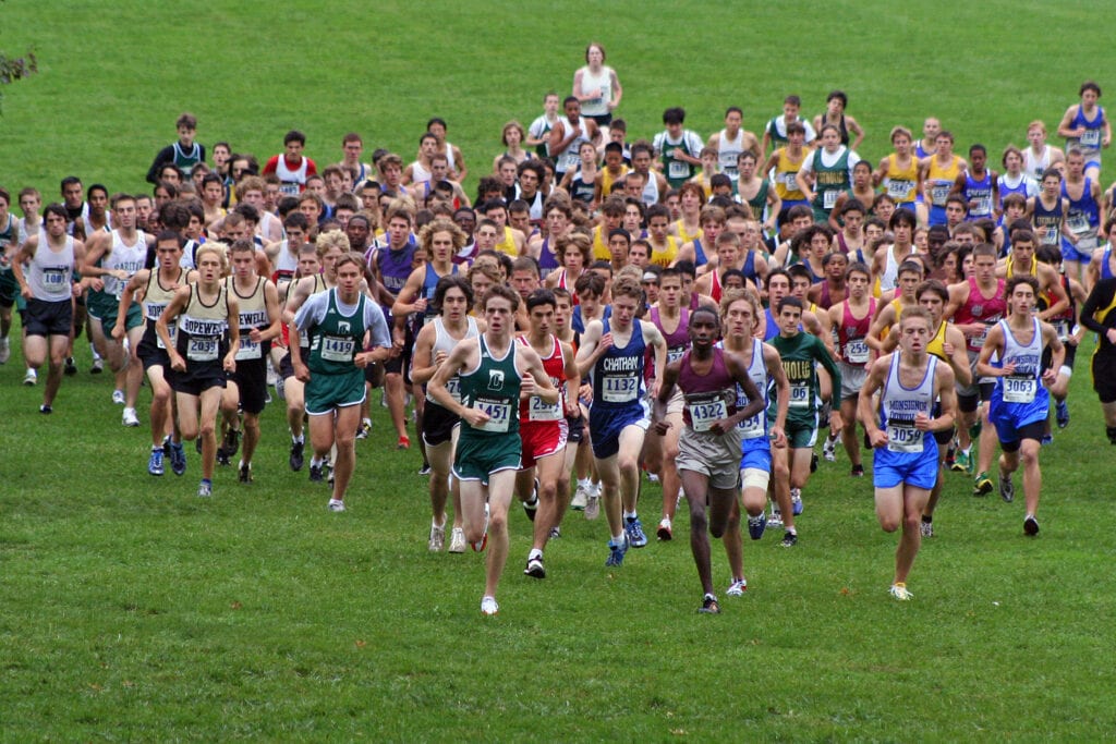 Large group of runners competing in a cross-country race on grassy terrain.